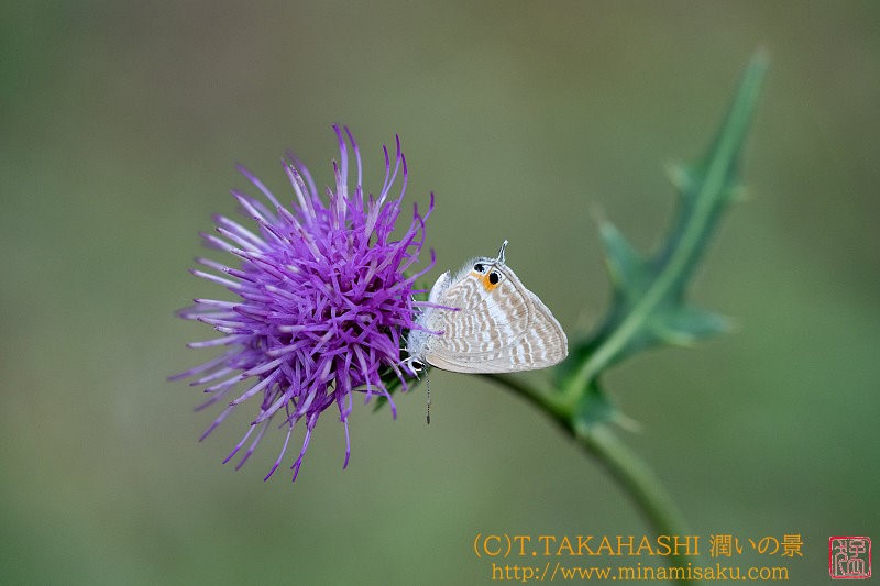 ../Images/7R240922 (38).jpg